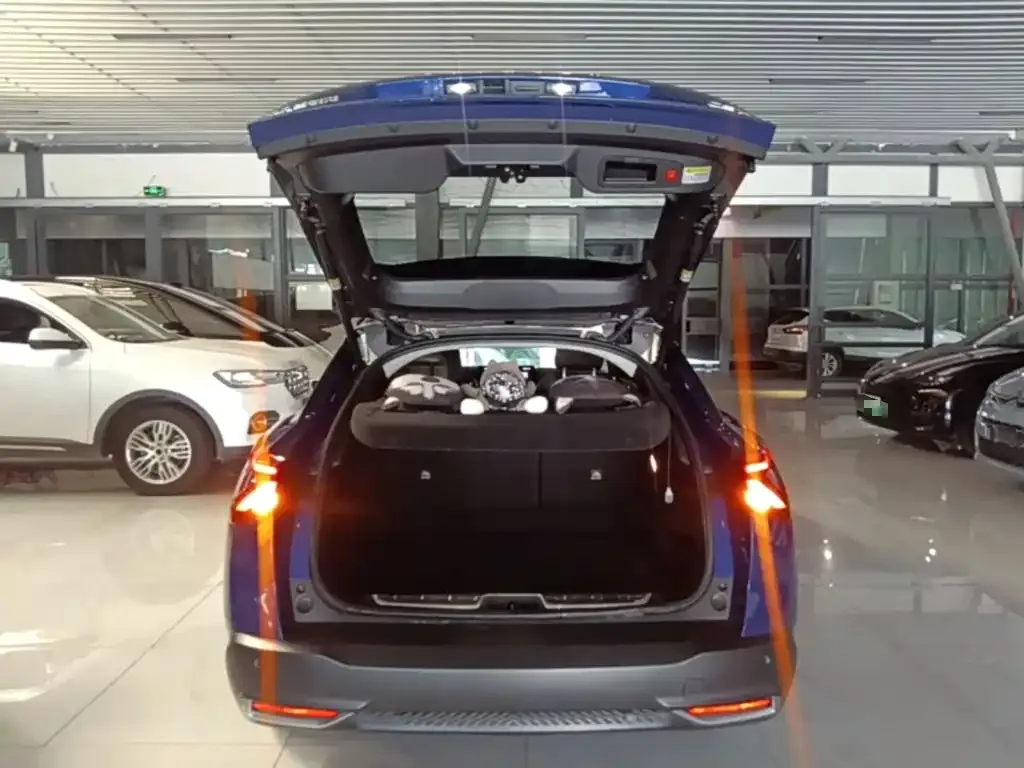 Citroen Versailles C5 X 1.6T Momentum Extraordinary 2023 — фото 19