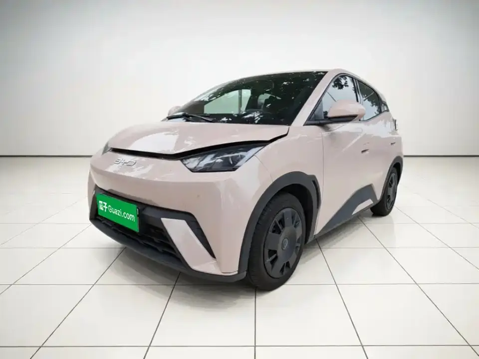 BYD Seagull Glory Edition 305km Vitality Edition 2024