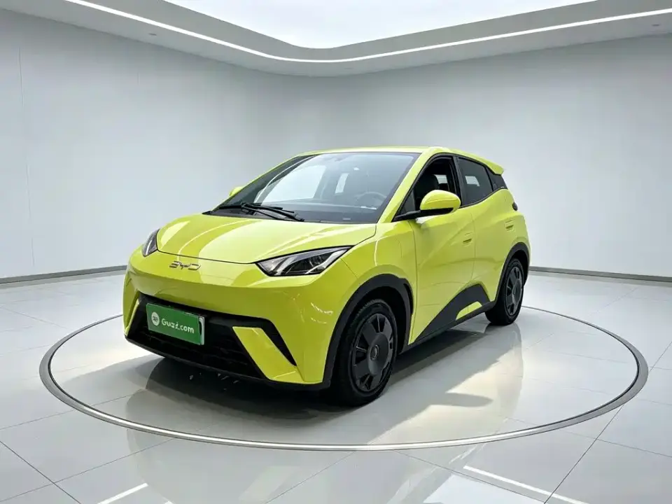 BYD Seagull Glory Edition 305km Vitality Edition 2024