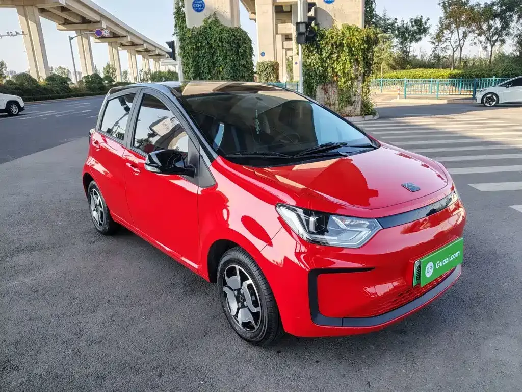 Sehol Flower Fairy 302km Luxury 30.2kWh 2021 — фото 4