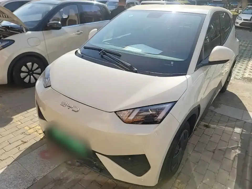 BYD Seagull Smart Drive Edition 305km Vitality Version 2025