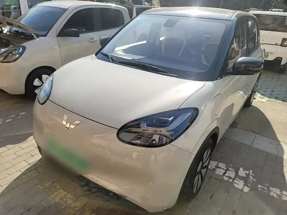 Wuling Motors Wuling Bingo Model 333km Joy+ Version 2024