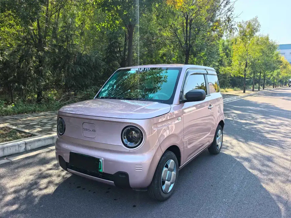 Geely Galaxy Panda Panda Mini 200km Endurance Bear 2025