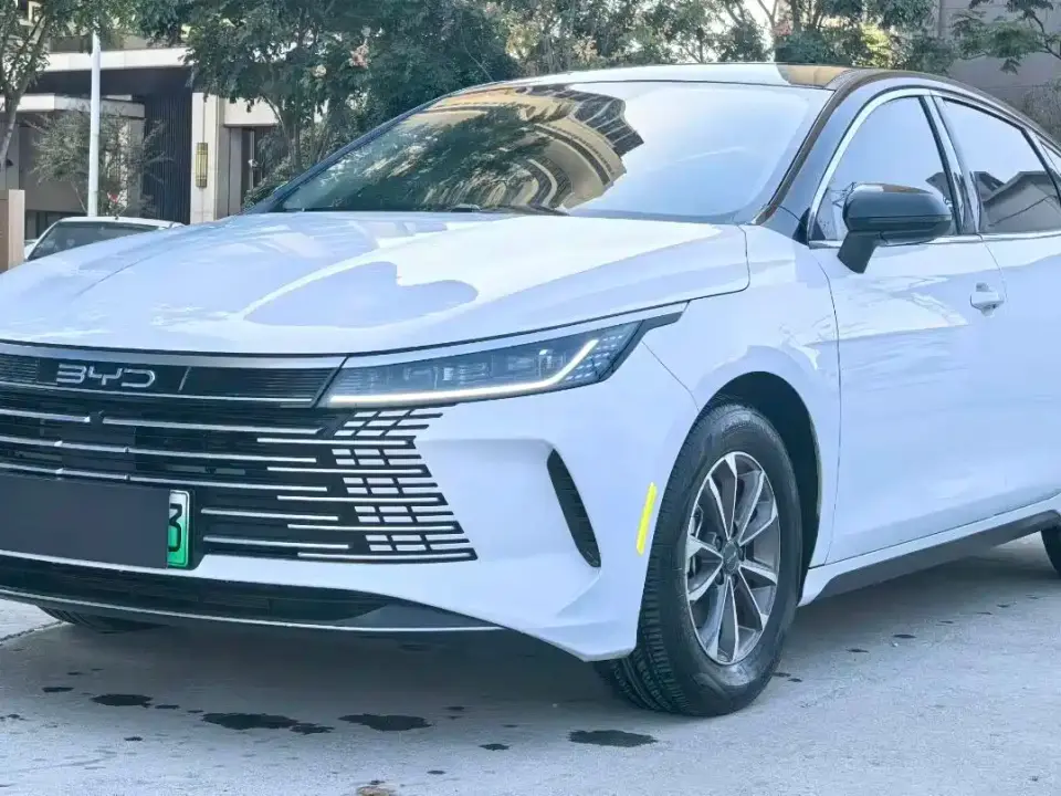 BYD Destroyer 05 Glory Edition DM-i 55KM Luxury 2024