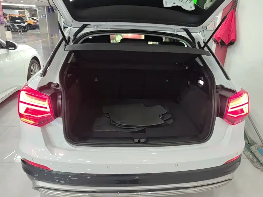 Audi Q2L e-tron Q2L e-tron Pure Electric Smart Cool Edition 2020 — фото 19