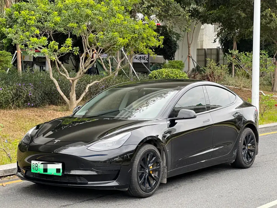 Tesla Model 3 Facelift Standard Range RWD Upgrade 3D1 2021