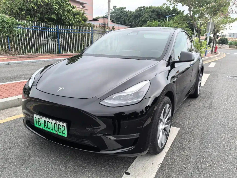 Tesla Model Y Model Long Range AWD 2021