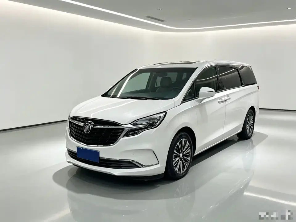 Buick GL8 ES Landlord 653T Luxury 2021