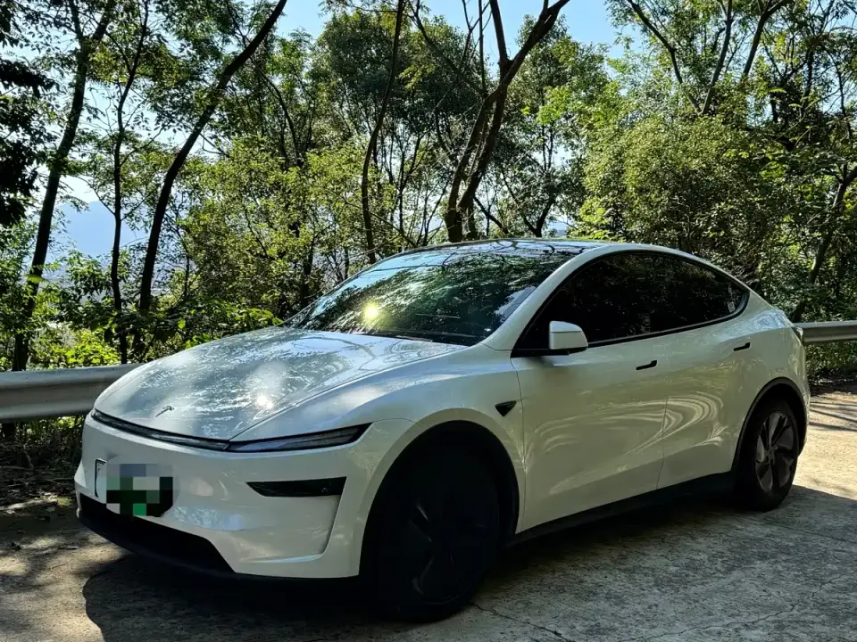 Tesla Model Y Rear-Wheel Drive 2025