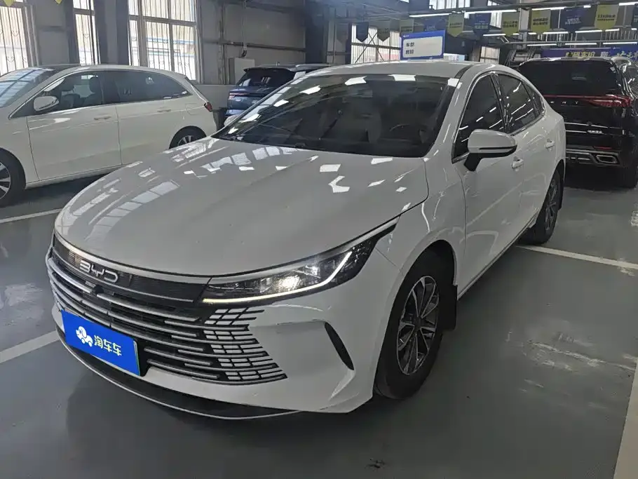 BYD Destroyer 05 Glory Edition DM-i 55KM Luxury 2024