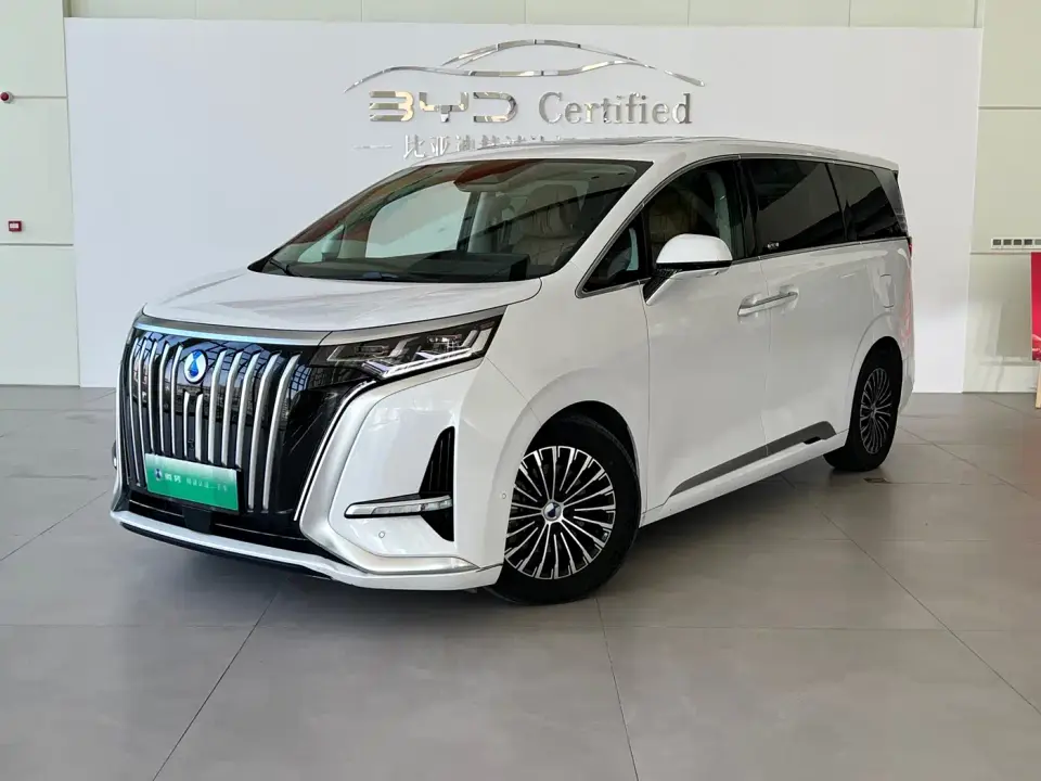 Denza D9 EV 600 4WD Flagship 2024