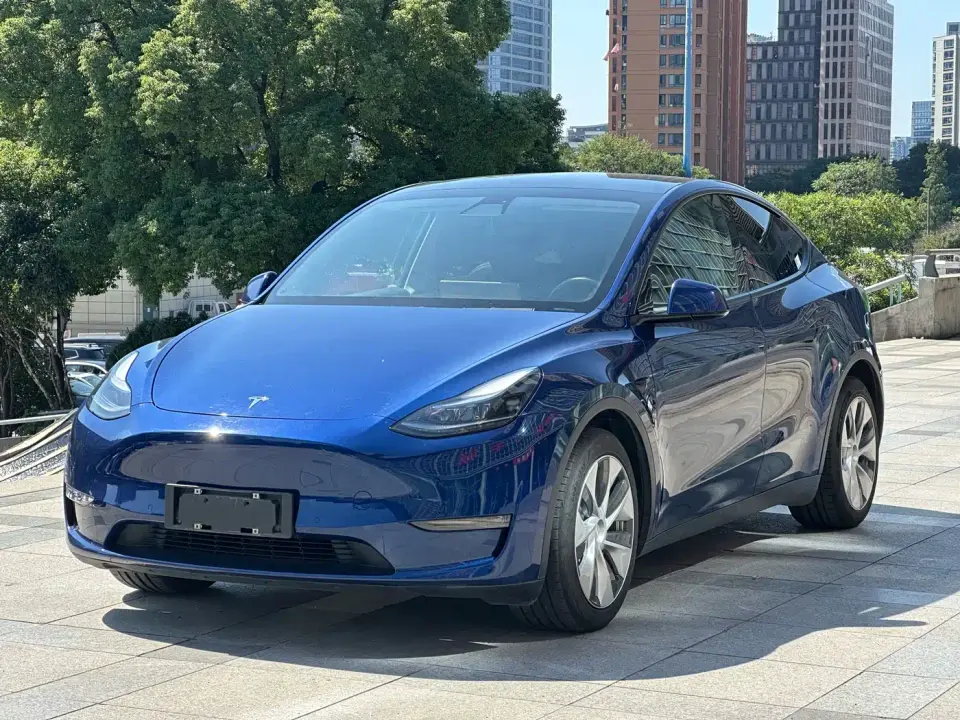 Tesla Model Y Model Long Range AWD 2021