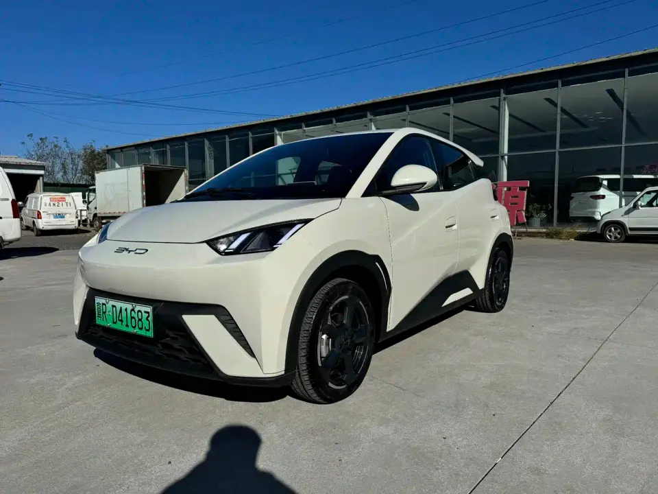 BYD Seagull Glory Edition 405km Soaring Edition 2024