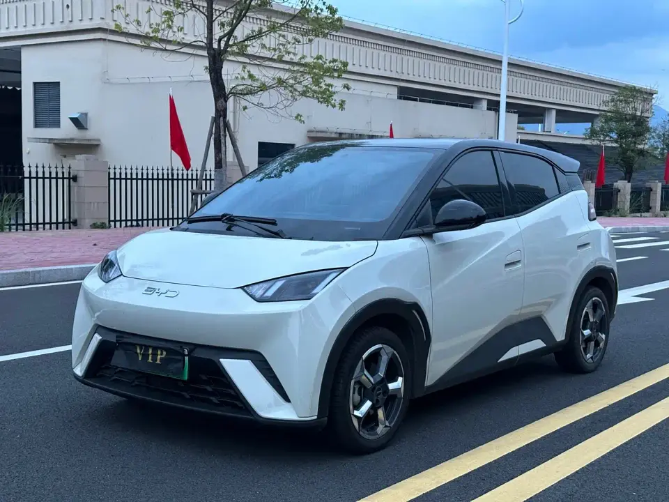BYD Seagull Freedom Edition 2023