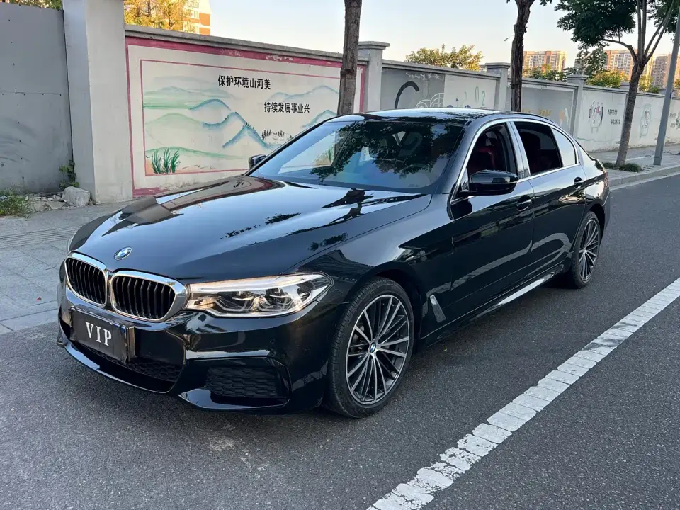 BMW 5 Series 530Li Leading M Sport Package 2020