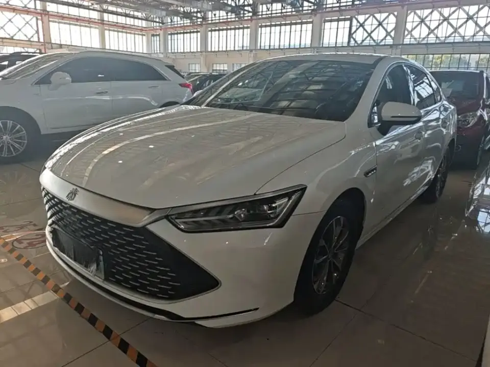 BYD Qin PLUS Glory Edition DM-i 55KM Leading 2024