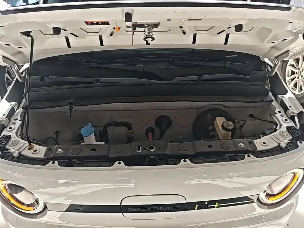 Geely Galaxy Panda Panda mini 210km Vitality Bear 2025 — фото 16