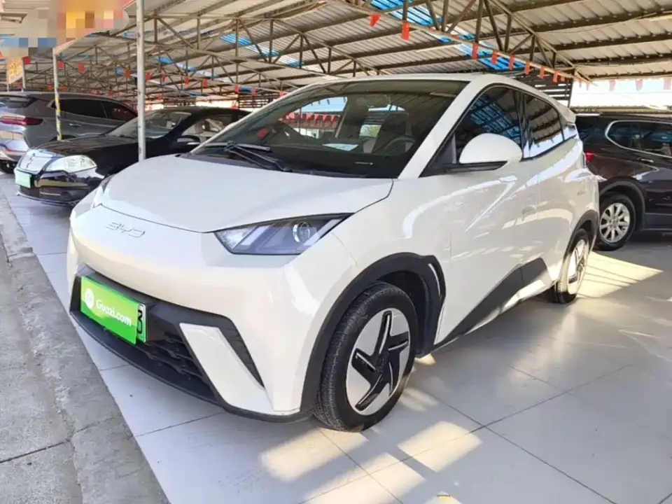 BYD Seagull Glory Edition 305km Vitality Edition 2024