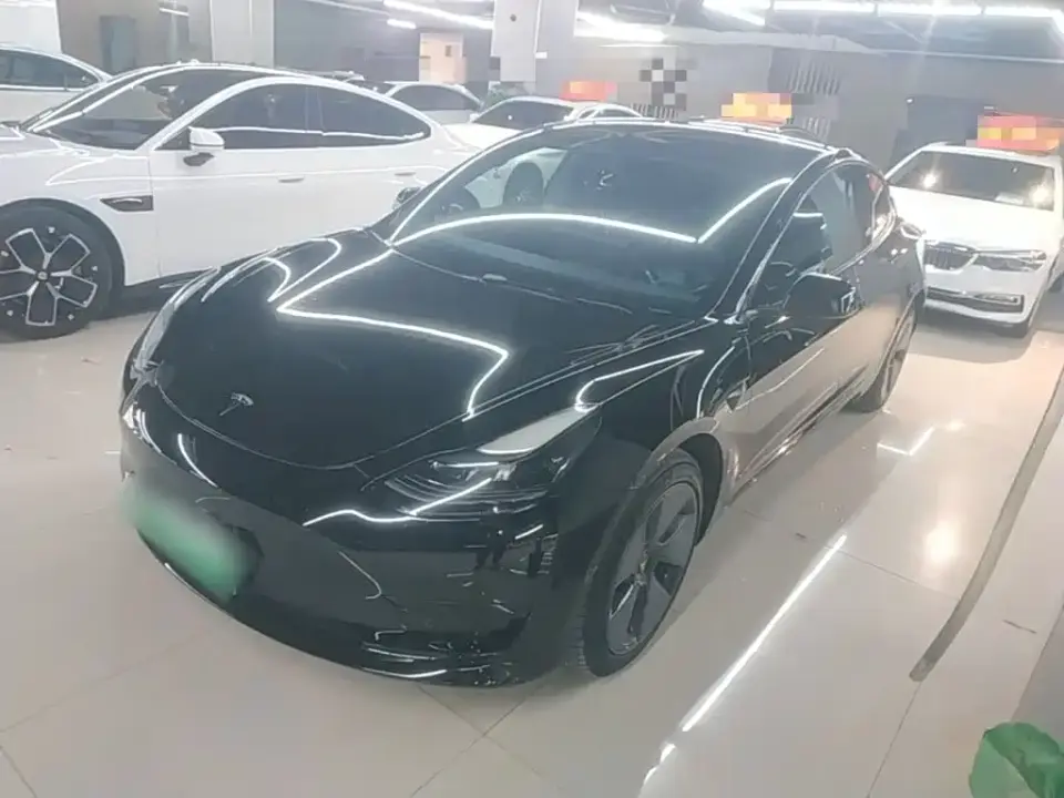 Tesla Model 3 Model Rear-Wheel Drive Version 2022