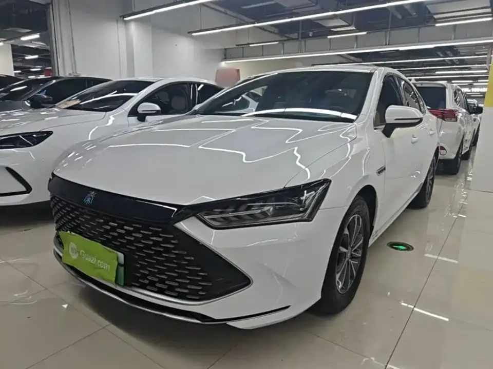 BYD Qin PLUS Glory Edition DM-i 55KM Leading 2024