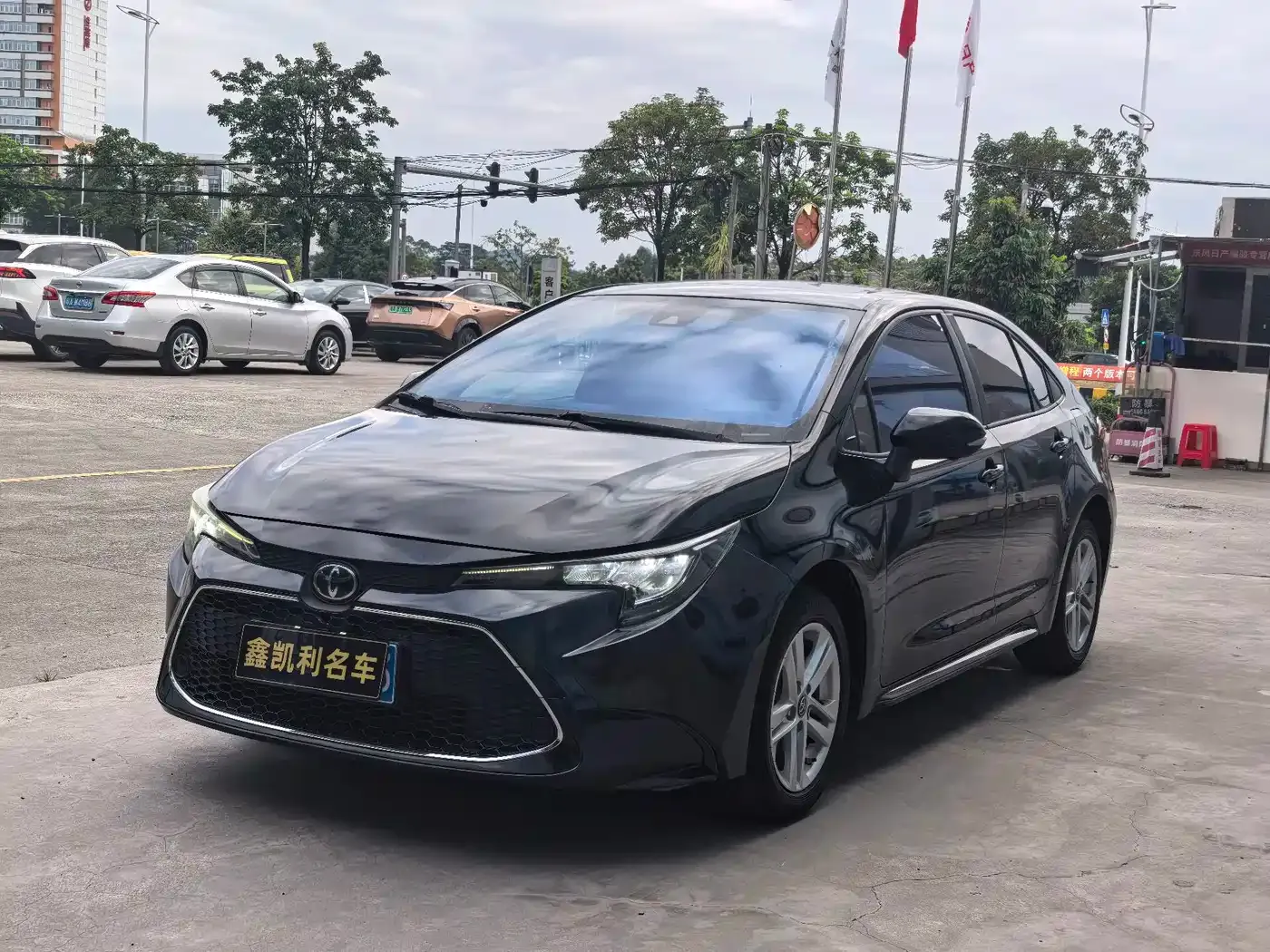 Toyota Levin 185T CVT Luxury Edition China V 2019 — фото 3