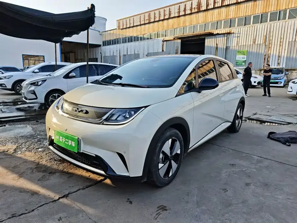 BYD Dolphin 420km Fashion Edition 2023