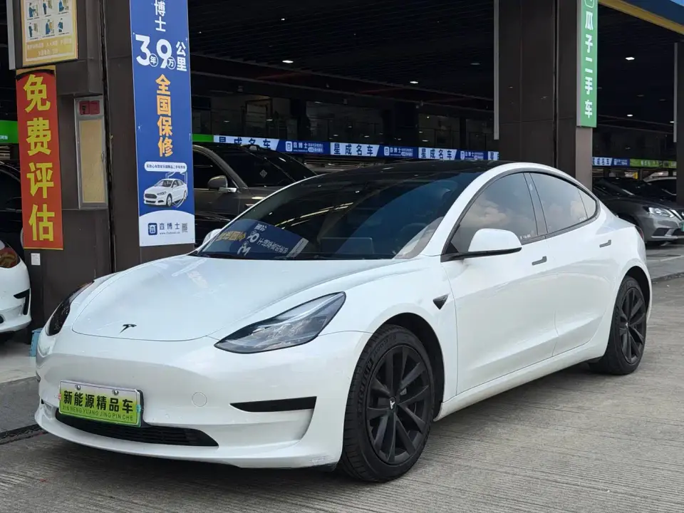 Tesla Model 3 Standard Range Rear-Wheel Drive Upgrade 3D6 2022