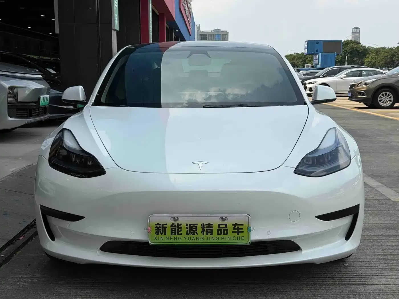 Tesla Model 3 Standard Range Rear-Wheel Drive Upgrade 3D6 2022 — фото 3
