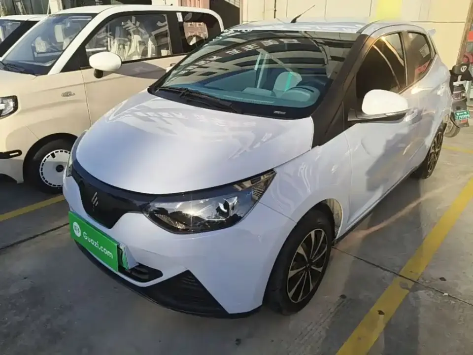 JMCG New Energy Little Kirin 201km Comfort Model 2025