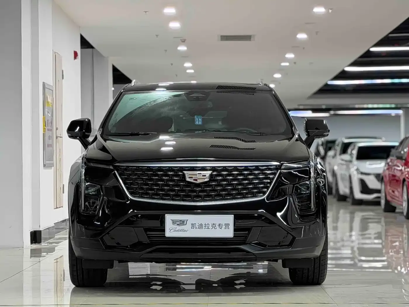 Cadillac XT4 28T 2WD Luxury 2024 — фото 2