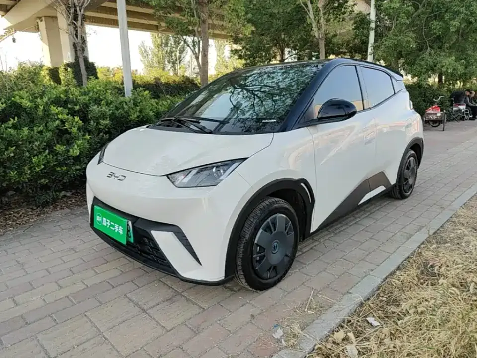 BYD Seagull 305km Vitality 2024