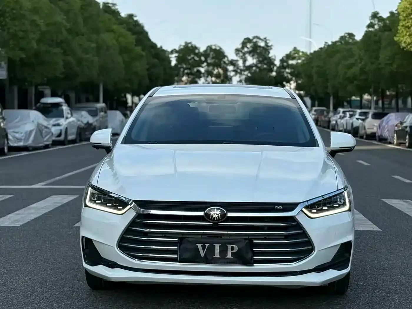 BYD Qin Pro Super Energy Edition 1.5TI Auto Smart Connection Sharp Dynamic Type China V 2019 — фото 2