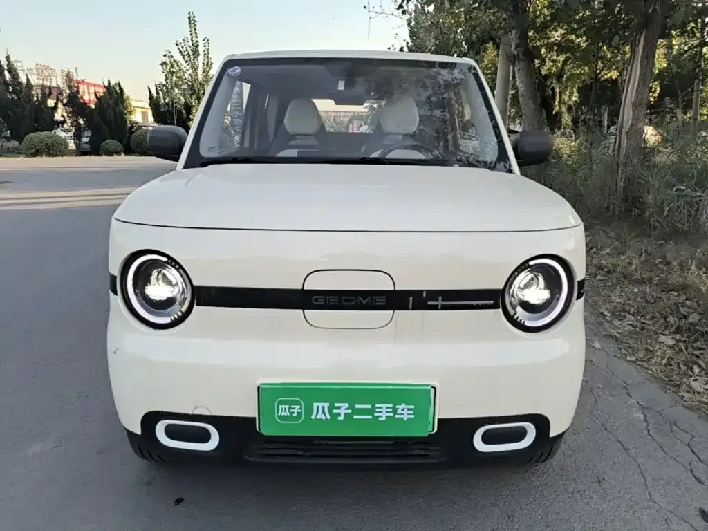 Geely Galaxy Panda Panda mini 210km Vitality Bear 2025 — фото 3