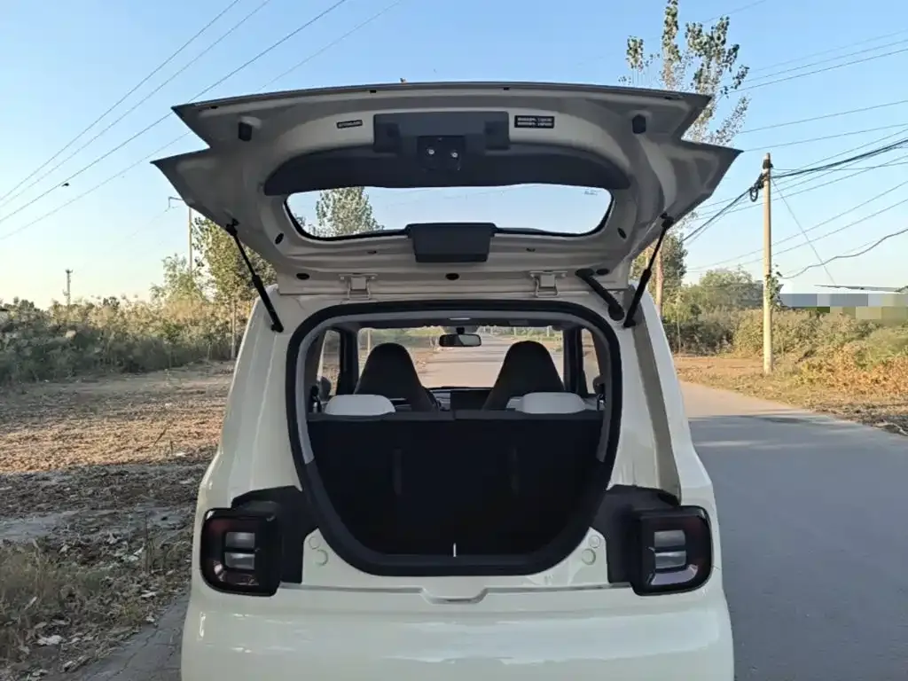 Geely Galaxy Panda Panda mini 210km Vitality Bear 2025 — фото 19