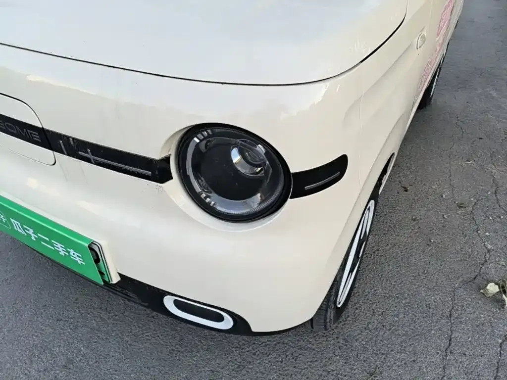 Geely Galaxy Panda Panda mini 210km Vitality Bear 2025 — фото 24