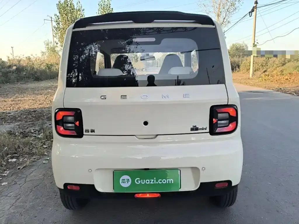 Geely Galaxy Panda Panda mini 210km Vitality Bear 2025 — фото 6