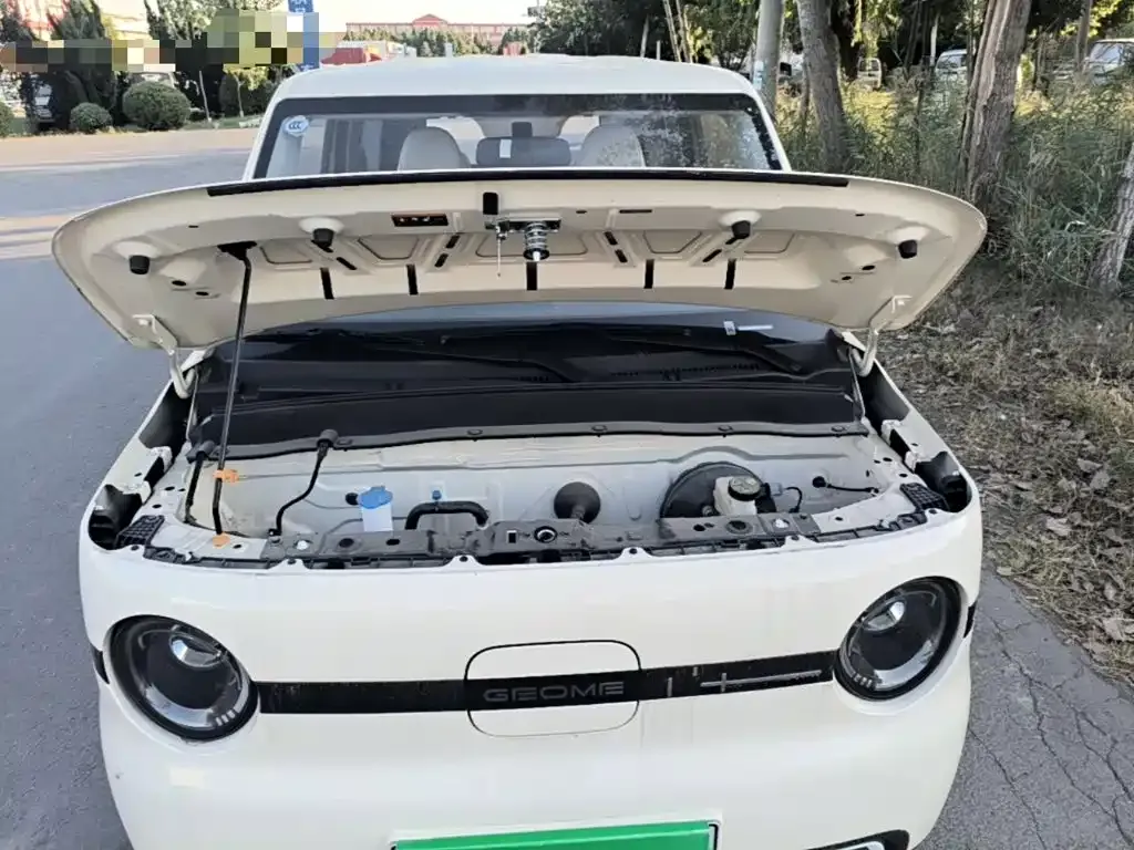 Geely Galaxy Panda Panda mini 210km Vitality Bear 2025 — фото 20