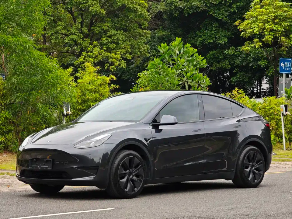 Tesla Model Y Rear-Wheel Drive Version 2024