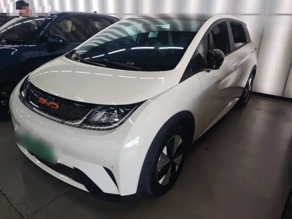 BYD Dolphin 420km Fashion Edition 2023