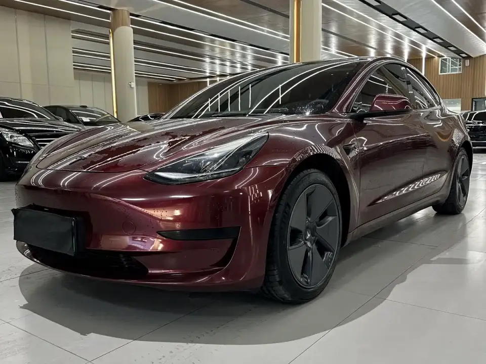 Tesla Model 3 Standard Range Rear-Wheel Drive Upgrade 3D6 2021