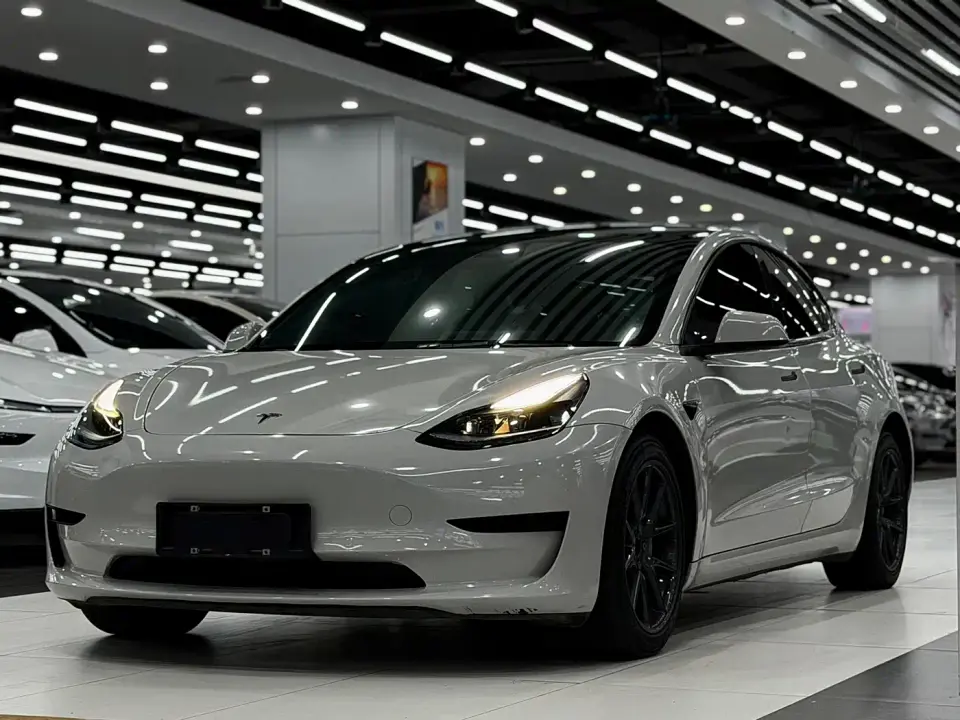 Tesla Model 3 Standard Range Rear-Wheel Drive Upgrade 3D6 2021