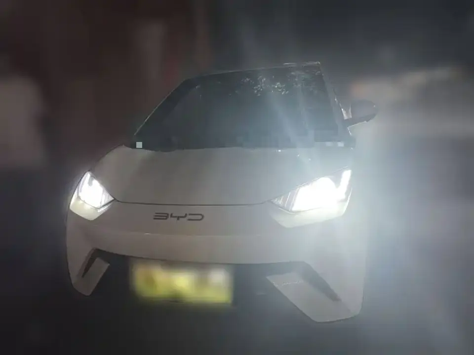 BYD Seagull Vitality Edition 2023