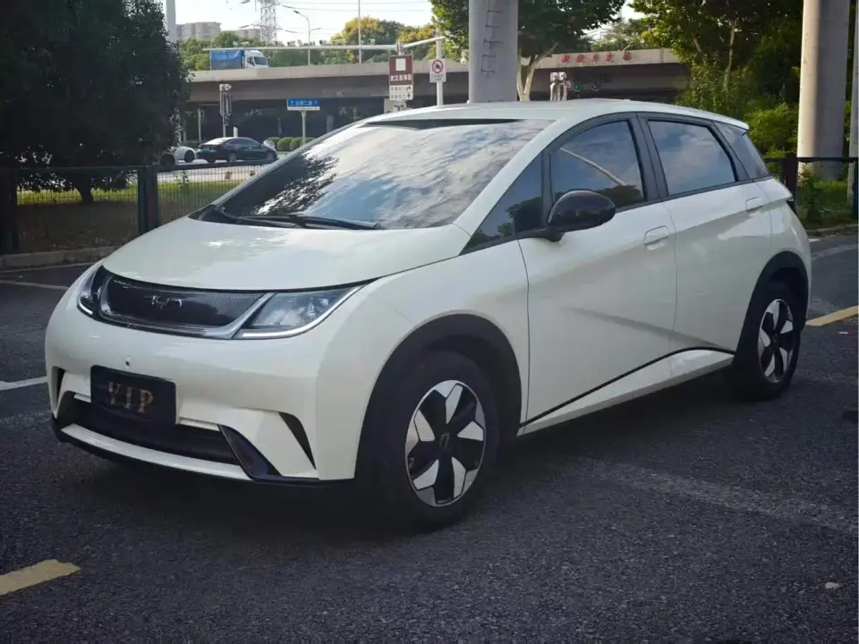 BYD Dolphin Smart Drive Edition 420km Freedom Version 2025
