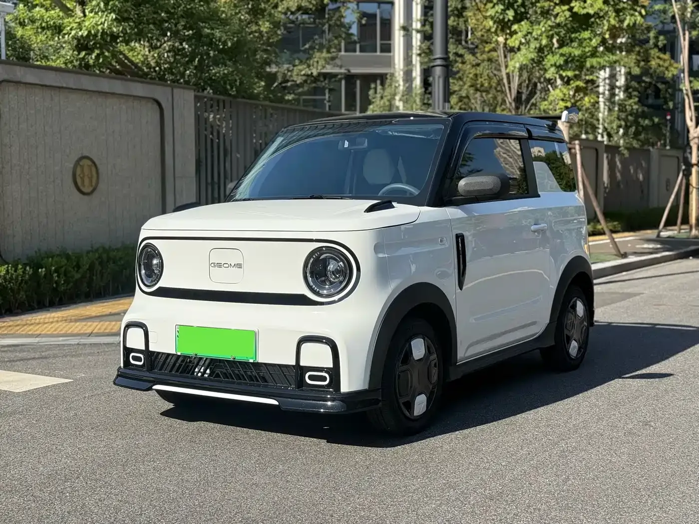 Geely Galaxy Panda Model Year 210km Panda Kart 2026