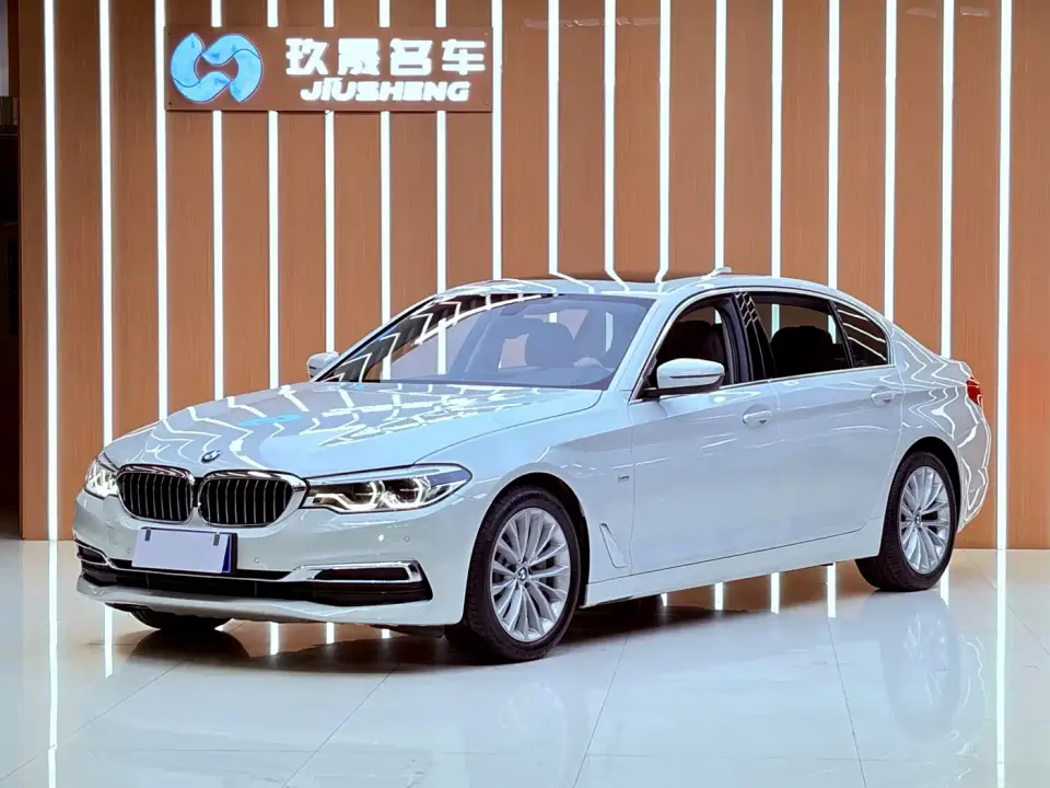 BMW 5 Series 530Li Leading Luxury Package 2020