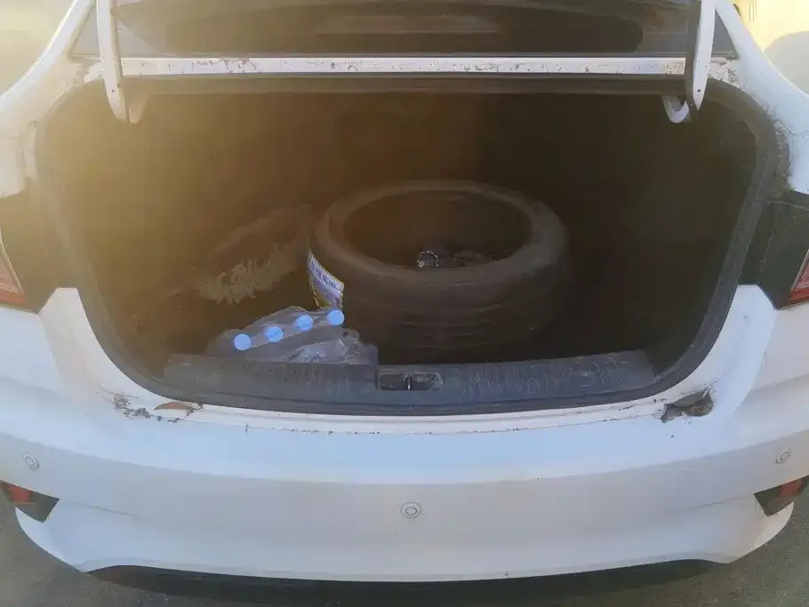 Changan Eado DT 1.6L Manual Premium 2019 — фото 4