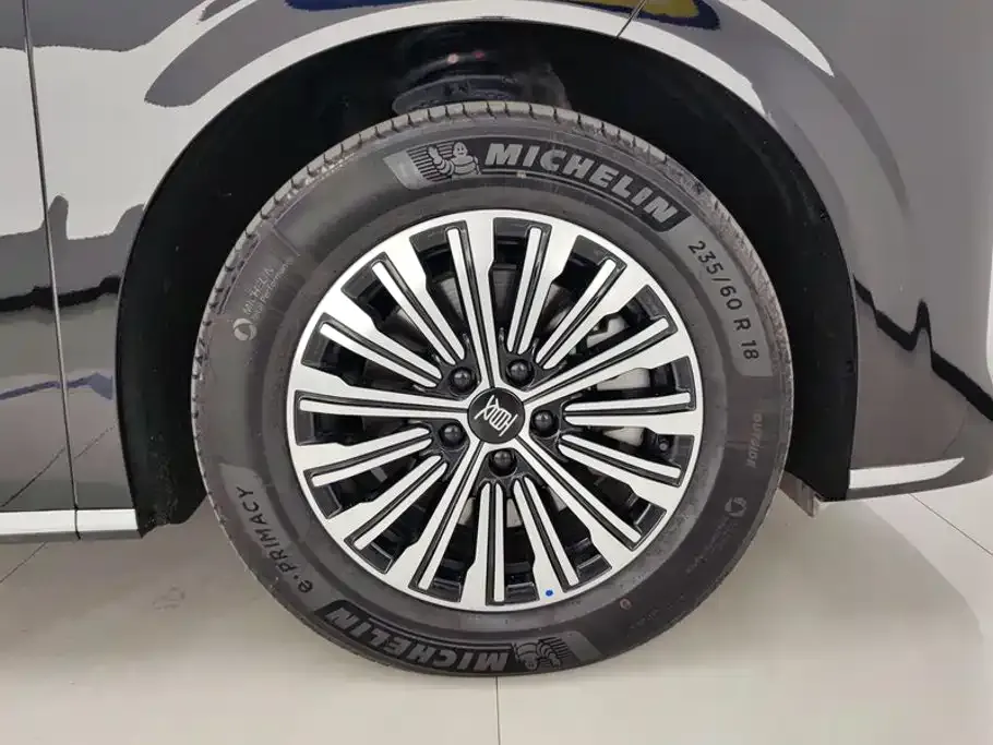 BYD Xia DM-i 1.5T 180km Surpass Edition 2025 — фото 6
