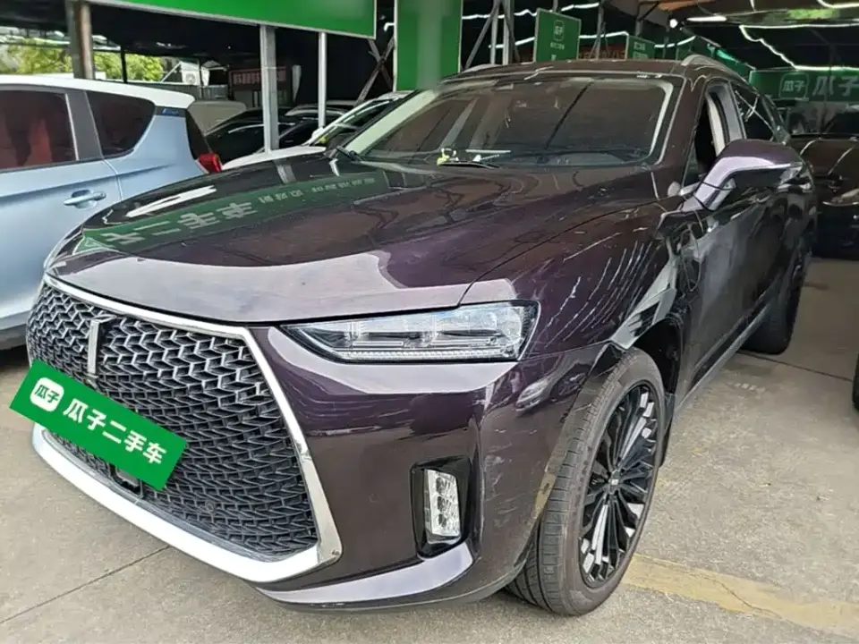 Wey P8 2.0T Flagship Model 2019