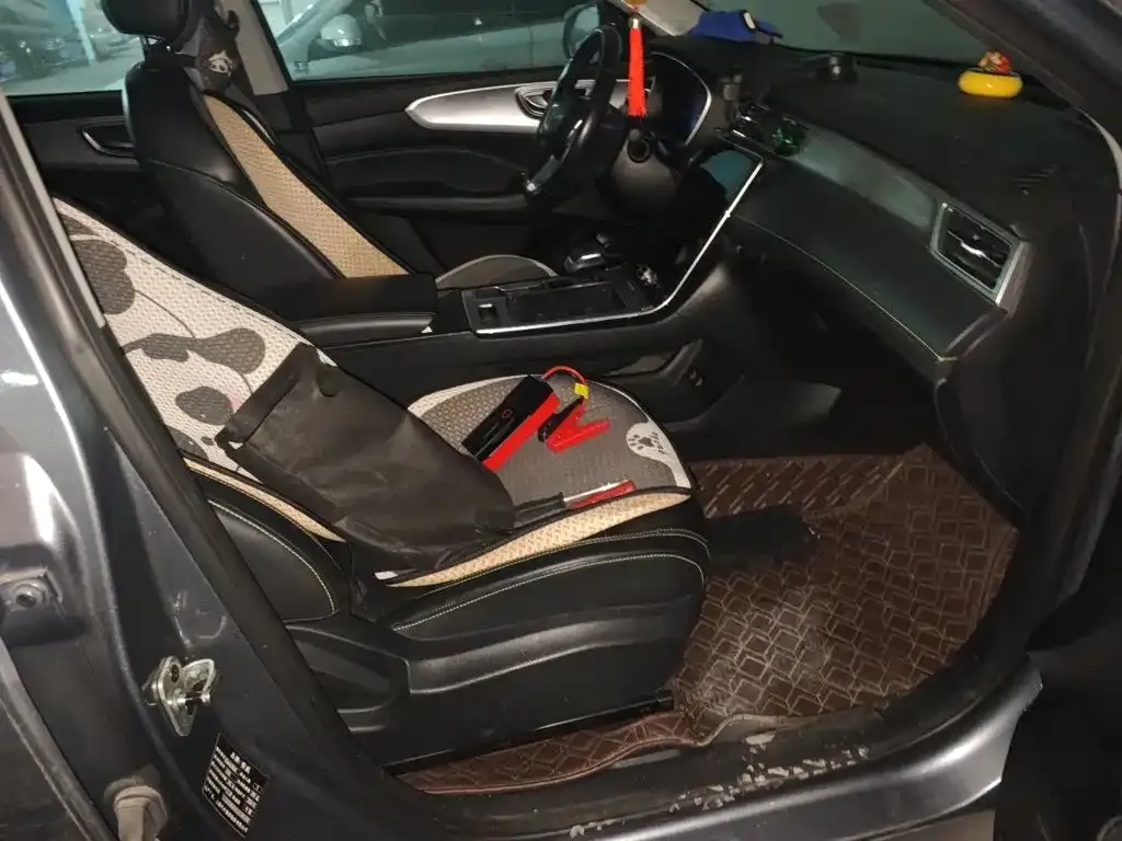 Roewe RX5 PLUS 300TGI Automatic Ali National Trend Flagship Ronglin Edition 2021 — фото 19
