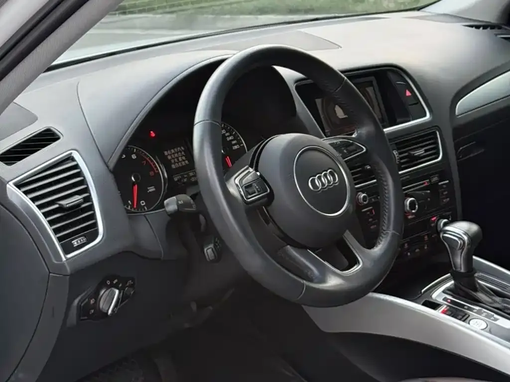 Audi Q5 Collector's Edition 40 TFSI Technology 2019 — фото 11